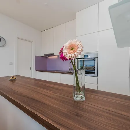 Penthouse With Roof Terrace With Jacuzzi * Zadar